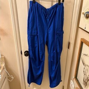 Wild Fable Vibrant Blue Cargo Pants